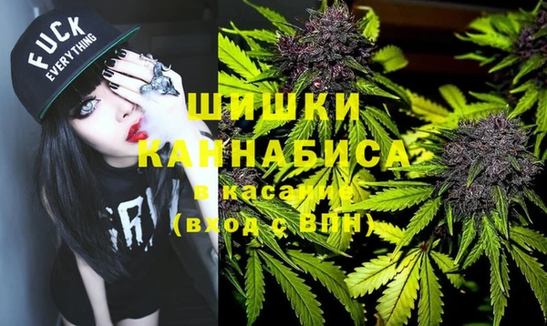 твердый Алзамай